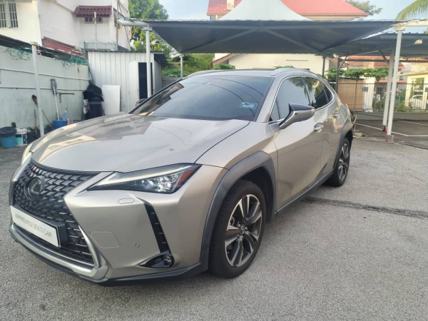 2020 Lexus UX200 Luxury